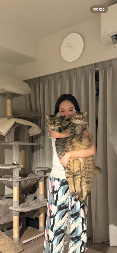 鑑定士 南ゆかり
